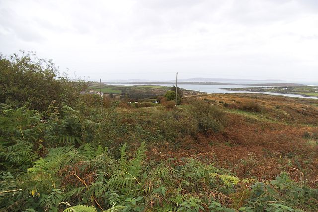 Rough vegetation with patches of better grass - Lowertown Townland