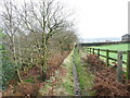 The Calderdale Way above North Dean Wood, Greetland