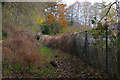 Footpath from the Ash Road