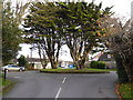 Attractive roundabout on Willowhayne Avenue