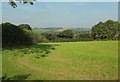 Grass field near Brendon