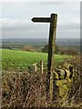 SK3456 : Signpost by Shuckstone Lane by Neil Theasby