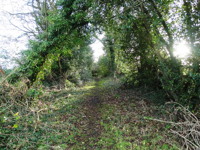 Old track off School Lane, Mathersgrave