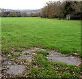 Old railway wagon body in a Legar field near Crickhowell