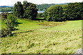 SD4094 : Pasture Fields at Blackwell by Nigel Mykura