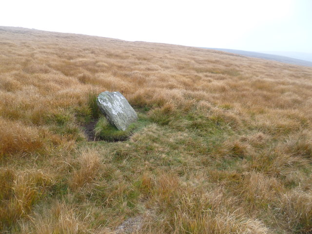 Stone beside the path