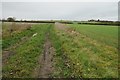 Footpath and track