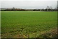 Farmland south of Upton Snodsbury