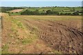 Valley near South Molton