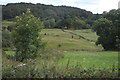 Field, Eyam View Farm