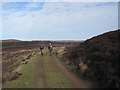 Footpath towards Crocky