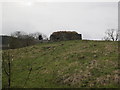 Newtown Pillbox (Whitton and Tosson)