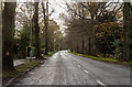 Entering Woodhall Spa on B1191