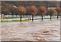 NT2540 : Flooding at Tweed Green, Peebles by Jim Barton