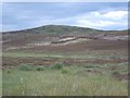 Moorland above Rogart