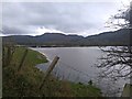 Flooded fields adjacent to A470 (2)