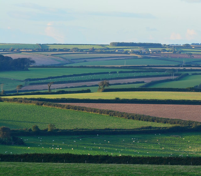 Fields and hedgerows south of Dunstone, Devon