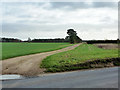 Farm track towards Garlands Farm