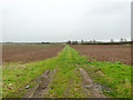 Headland between fields near Tollesbury