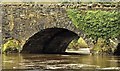 J3067 : The River Lagan at the Drum Bridge, Dunmurry (December 2015) by Albert Bridge