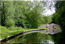 SO8273 : Canal south of Kidderminster, Worcestershire by Roger  D Kidd