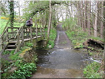 NY9959 : Ford and Footbridge on the Reaston Burn by Les Hull