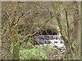 Small weir in Higher Dean Wood