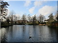 Lake and fountain, Arnot Hill Park