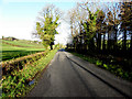 Minterburn Road, Drumess / Enagh