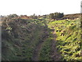 Footpath - Nettleton Hill Road