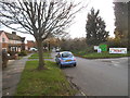 Fore Street at the entrance to Haste Hill Nurseries