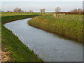 Shoalmill Drain, Queen Holme