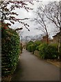 The Model Cottages in December