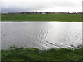 Flooded field, Urney