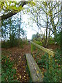 Footpath crosses bridge and leaves woodland