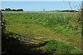 Field near Barton Cross