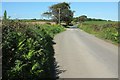 Lane near Collacott