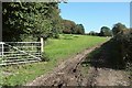 Footpath to Collacott