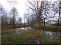 Pond near the Grange, Rhewl