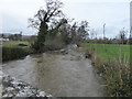 The river Clwyd near Llanynys