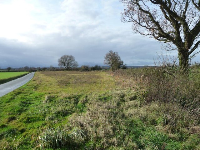 Uncultivated land, west of Syerscote Lane