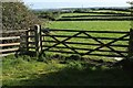 SS6328 : Gate near West Irishborough by Derek Harper