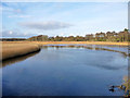 Lymington River