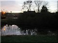 Dawn  at  Fimber  Pond  (2)