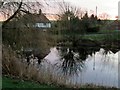 Dawn  at  Fimber  Pond  (4)