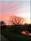 SE8960 : Sunrise  at  Fimber  pond  (2) by Martin Dawes
