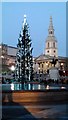 TQ3080 : Trafalgar Square Christmas tree by PAUL FARMER
