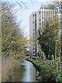 The New River (old course) west of Silver Street, EN1 (8)