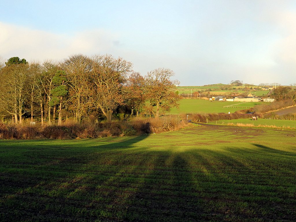 Arable land north of Throckley © Andrew Curtis cc-by-sa/2.0 :: Geograph ...