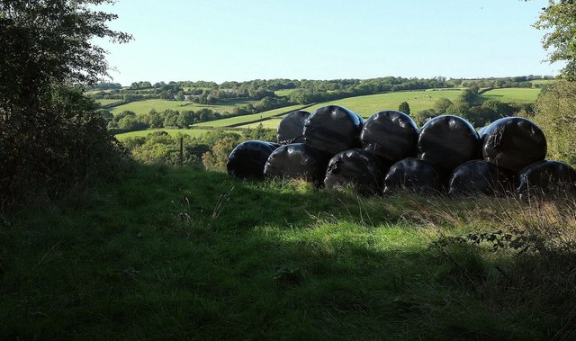 Bales near Stowford